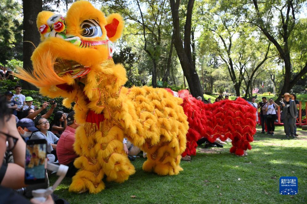 crown皇冠长板官网网址
